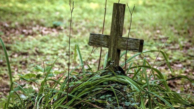 &nbsp;Los cadáveres de unos 200 migrantes que se dirigían a Estados Unidos y murieron al atravesar la peligrosa selva del Darién.