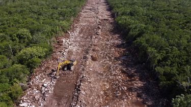 Una excavadora despeja una zona arbolada por la que pasará la línea de ferrocarril del Tren Mata en Puerto Morelos, en el estado de Quintana Roo, México, el 2 de agosto de 2022.