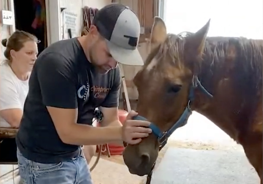 Joren Whitley, un talentoso quiropr&aacute;ctico de la ciudad de Oklahoma, se encarga de ayudar a resolver los problemas de movilidad tanto de&nbsp;mascotas&nbsp;y animales ex&oacute;ticos.&nbsp;