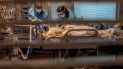 La asistente de aboratorio de flebotomías Jennifer Cukati, a la derecha, y la enfermera Carina Klescewski, a la izquierda, atienden a un paciente de COVID-19 en la UCI del Centro Médico Sutter Roseville Medical Center en Roseville, California, el martes 22 de diciembre de 2020. La asistente de aboratorio de flebotomías Jennifer Cukati, a la derecha, y la enfermera Carina Klescewski, a la izquierda, atienden a un paciente de COVID-19 en la UCI del Centro Médico Sutter Roseville Medical Center en Roseville, California, el martes 22 de diciembre de 2020.