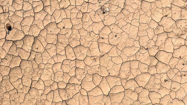 Imagen referencial.&nbsp;