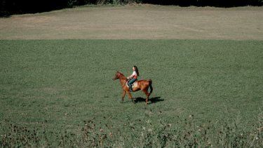 Florida busca nuevos rubros para dinamizar su economía.
