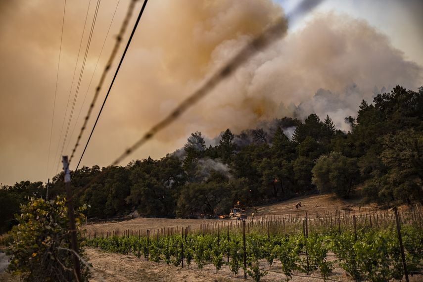 Los incendios en California llegan al mundialmente famoso Napa Valley, zona de gigantescos vi&ntilde;edos.