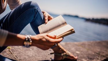 Diario las Américas | habito-lectura-referencial-11122018-pixabay.jpg