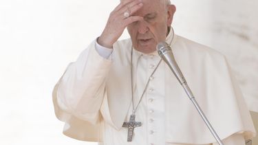 El&nbsp;papa&nbsp;Francisco.&nbsp;