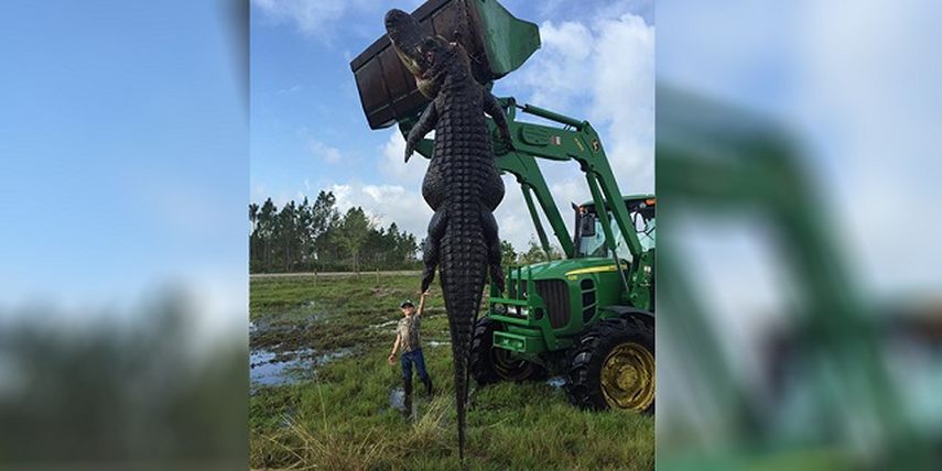  A pesar de que algunas personas han dudado de la veracidad de la fotografía, el mismo Lee Lightsey confirmó a CNN que es real: Hay mucha gente diciendo aquello, pero es 100% real. Yo tomé la foto y es real  (foto: Facebook de Outwest Farms)