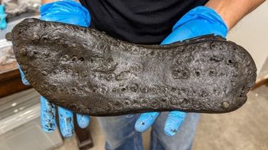 Suela de zapato de cuero de 32,6 cm del fuerte Magna.  