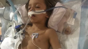 La familia de Roque está recaudando fondos en&nbsp;Gofundme&nbsp;para costear los servicios médicos del menor.&nbsp;