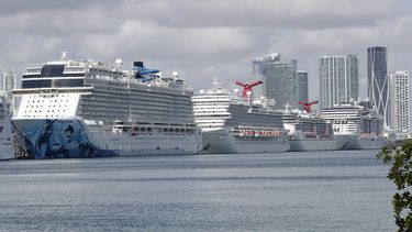 Cruceros atracados en el puerto de Miami, Florida.