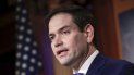 Marco Rubio senador republicano por el estado de Florida. Marco Rubio senador republicano por el estado de Florida.