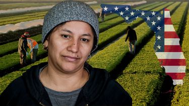 Nueva ley inmigración Florida