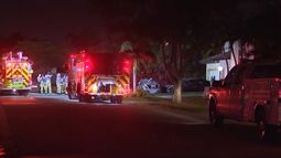 Imagen de referencia del Departamento de Bomberos de Miami. Imagen de referencia del Departamento de Bomberos de Miami.