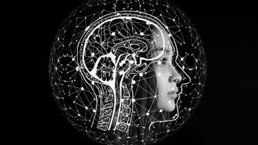 Nada se le resiste a la IA, a la hora de poner a prueba las dimensiones que abarca en &nbsp;el mundo no solo de la tecnología, sino &nbsp;en cualquier espacio, actividad, persona o cosa.