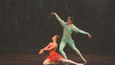 Dr. Ouch! o Dr. ¡Ay, me duele! es una historia basada en los poemas de Korney Chukovsky, un reconocido autor ruso de poesía infantil. (JoeyG)