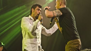 Los rockeros hicieron público el incidente en su cuenta de Facebook. (panteonrococo.com)