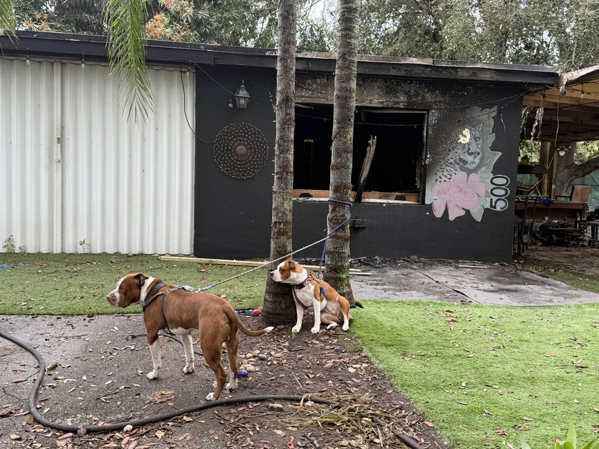 Cano y Tula fueron rescatadas del incendio.&nbsp;