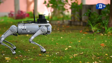desarrollan un perro robotico capaz de guiar a personas dependientes o con discapacidad