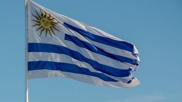 Bandera de Uruguay