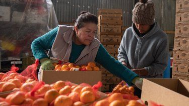 Una mujer y un joven empacan bolsas con naranjas.