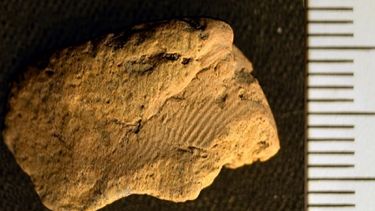 descubren huella dactilar de hace 5,000 anos