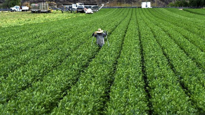 Congreso de EEUU aprueba&nbsp;867.000 millones de dólares para ayudar a la industria agrícola del país.