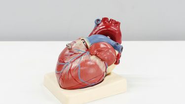 Imagen referencial.&nbsp;