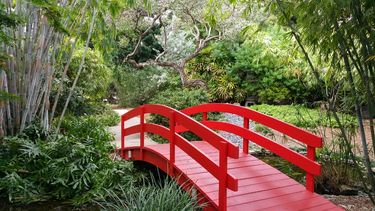 El Jardín Botánico de Miami Beach es manejado por una alianza público privada, propiedad de la ciudad pero operado por Conservancy The Garden.&nbsp;