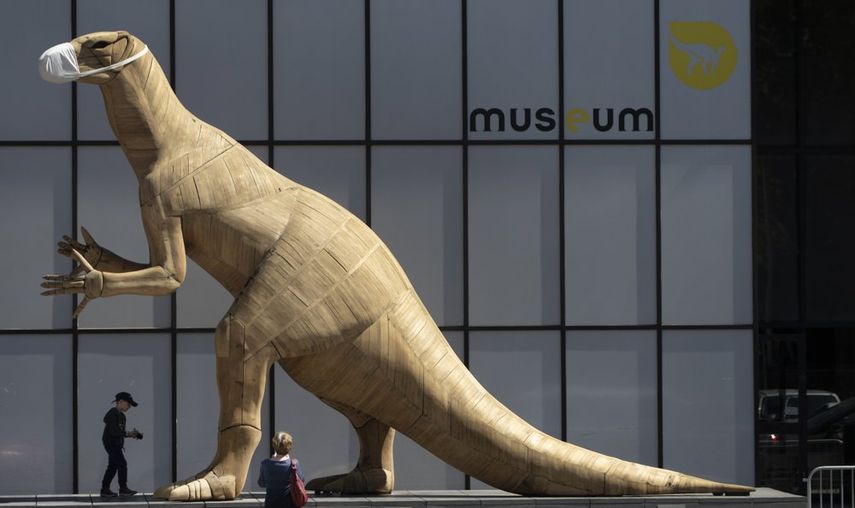 Un ni&ntilde;o camina frente a una escultura de dinosaurio con una m&aacute;scara en el Museo de Historia Natural de Bruselas, el martes 19 de mayo de 2020.&nbsp;