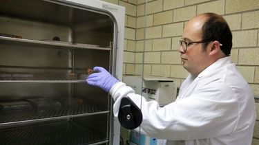 Esta revolucionaria investigación utiliza técnicas como la inmunoprecipitación y el wester blot para saber si el anticuerpo funciona como vacuna o método de diagnóstico.