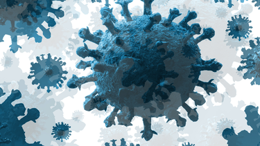 ¿es el final del tunel del coronavirus?