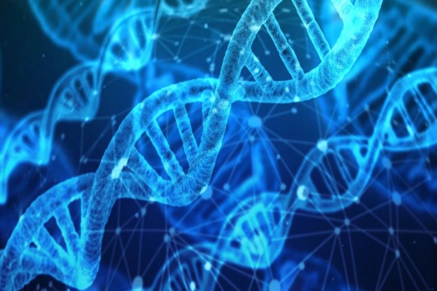 Representación secuencial de un ADN