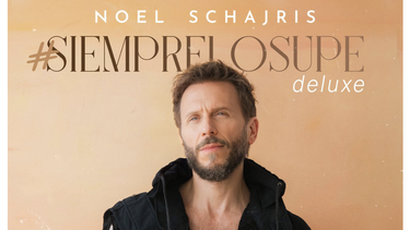 El cantante, compositor y pianista argentino-mexicano Noel Schajris.
