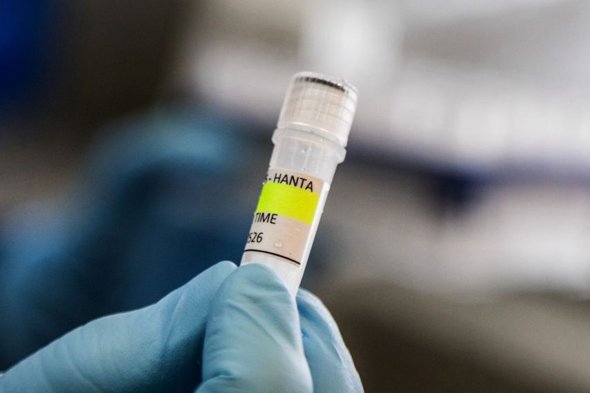 Argentina ha registrado un aumento en los casos de hantavirus, pero no un brote, según declaró un experto a la AFP el 6 de mayo, mientras que las infecciones a bordo de un crucero han provocado una alarma sanitaria mundial. El MV Hondius zarpó de Ushuaia, en el sur de Argentina, el 1 de abril y actualmente se encuentra anclado frente a las costas de Cabo Verde tras la muerte de tres pasajeros, posiblemente a causa del hantavirus.