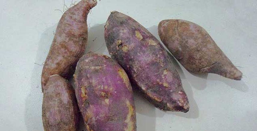La batata es un tubérculo que previene la aparición en enfermedades oculares, ya que contiene una alta cantidad de vitamina A
