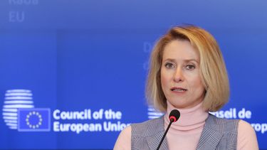 La Alta Representante de la Unión Europea para Política Exterior.