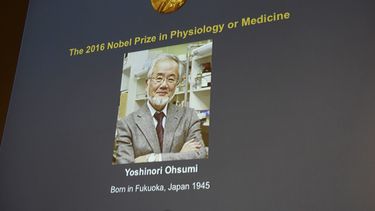 Foto del investigador japonés Yoshinori Ohsumi, proyectada sobre una pantalla