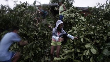 Un grupo de personas retira los árboles caídos tras el paso del huracán Otto, en Chiles de San Carlos, en la frontera con Nicaragua
