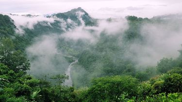 Este fenómeno meteorológico puede formarse repentinamente y disiparse con rapidez, en este caso se le denomina “niebla de flash”. (Archivo)