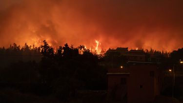 Los incendios en La Orotava en Tenerife, Islas Canarias, España, el 19 de agosto de 2023.&nbsp;
