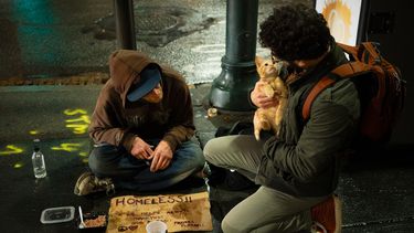 Imagen referencial.&nbsp;