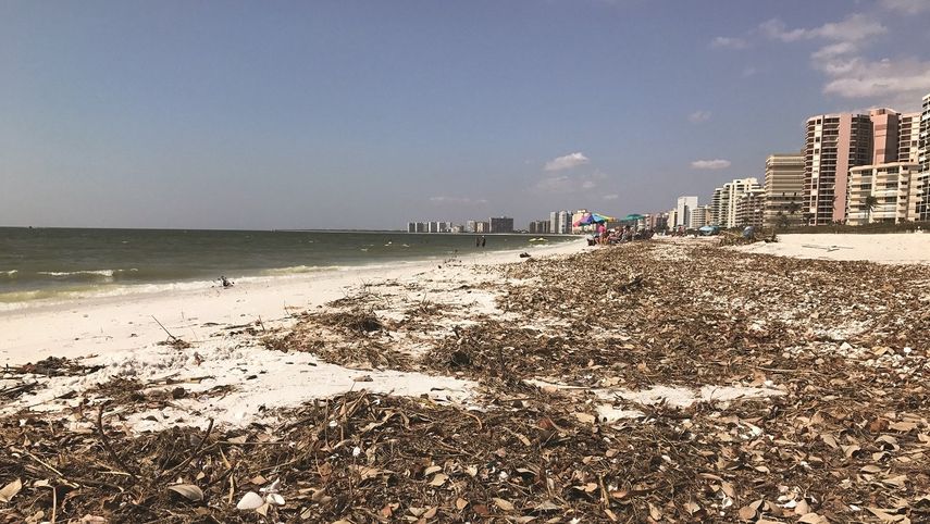 Vista de una zona de playa en Marco Island, en la costa oeste de la Florida, tras en azote del huracán Irma.