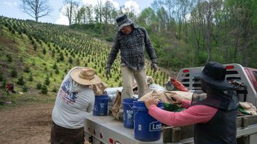 Trabajadores agrícolas en Estados Unidos en plena faena de siembra.