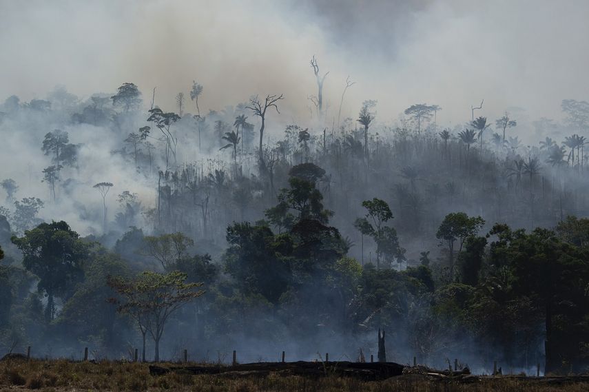Un incendio consume un bosque amazónico en Altamira, Brasil. Los incendios registrados en la Amazonía brasileña provocaron indignación en todo el mundo por la conservación de la mayor selva tropical del mundo.