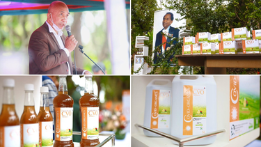 El&nbsp;presidente de Madagascar, Andry Rajoelina, hizo en anuncio en su cuenta de Twitter.&nbsp;