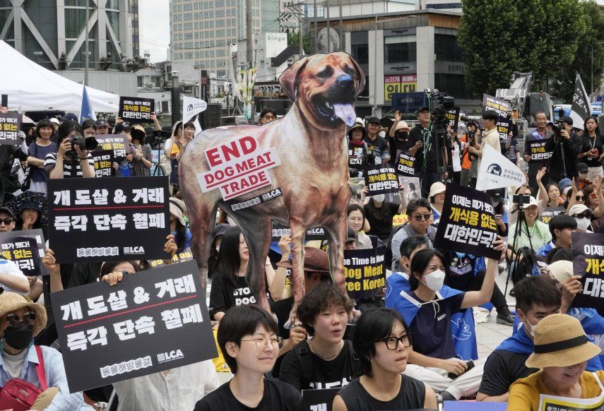 En esta imagen de archivo, activistas por los derechos de los animales, durante una concentración contra la práctica cultural surcoreana de comer carne de perro, en Seúl, Corea del Sur, el 8 de julio de 2023.&nbsp;&nbsp;