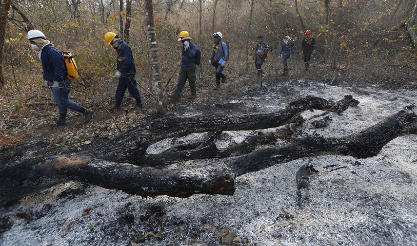 Casi un mill&oacute;n de hect&aacute;reas de bosque han sido arrasados por los incendios. Los ambientalistas y sectores cr&iacute;ticos culpan al gobierno de Evo Morales de haber sido permisivo con la quema y haber flexibilizado las normas ambientales.