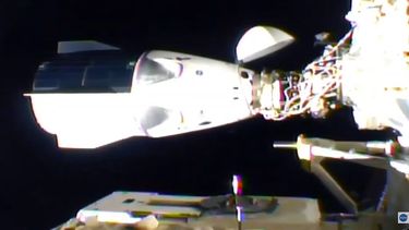 Astronautas ingresan a Estación Espacial Internacional tras viaje exitoso de SpaceX