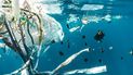 La presencia de plástico en las aguas del mar afecta la vida marina.