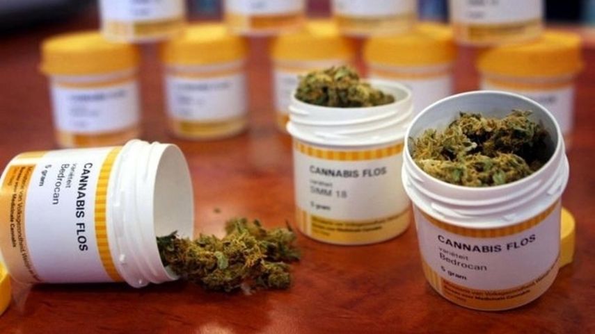 Unos 800 médicos están autorizados para prescribir el consumo de cannabis en el estado de Florida.