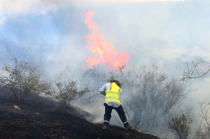 Chile enfrenta los peores incendios forestales de su historia reciente.